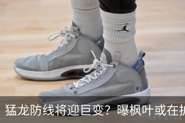 猛龙防线将迎巨变？曝枫叶或在扩军选秀中放弃摩根·里利
